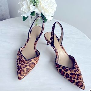 Ann Taylor Sling Back Chetah Print